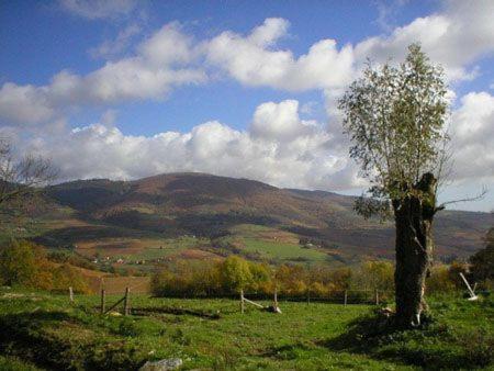 La Begude D'Amalthee Vila Vernay Exterior foto